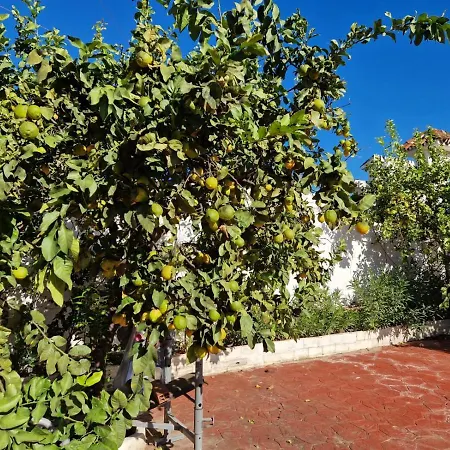 Apartahotel Costa Marbella